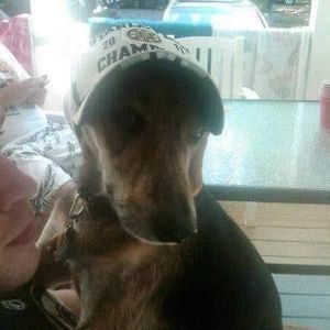 Meet your Posher, Bill